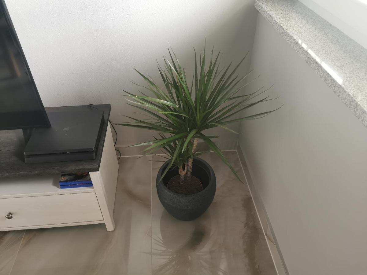 Apartment Luki Povile Eksteriør bilde